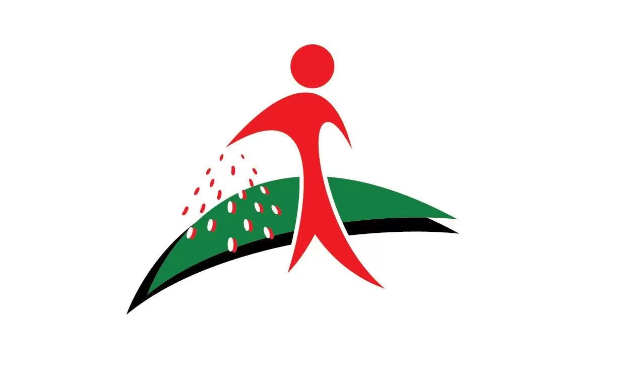 The Rise of Gourmet Street Food: Trends and Top Picks